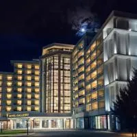 Hotel Gallery Thermo Mineral & Spa, hotel u gradu Pozharan