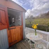Orchard Shepherds Hut, hotel u gradu 'Calstock'