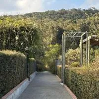 Woodcutters Forest Cottages, hotel en Knysna