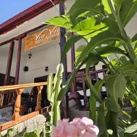 ViaVia Ayacucho, hotel v destinácii Ayacucho