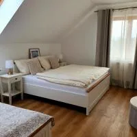 Penzion Apartmány Libošovice, hotell i Libošovice