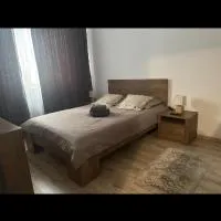 Tautiului 222 apartment, отель во Флорешты