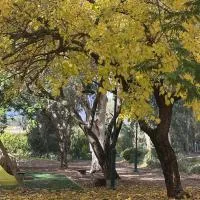 צימר יערת הדבש, hotel en Hagoshrim