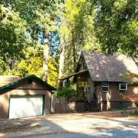 Modern Peaceful Nordic Cabin Near Lake with Pickleball-Basketball Court, hotel u gradu Nevada Siti