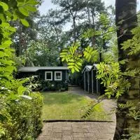 Chalet De Maanvaren, hotel i Hattemerbroek