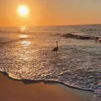 Sugar Beach 330 Family Friendly Vacation Sleeps 8, hotel a Gulf Shores