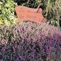Le Rosier Domaine La Douceur de Vivre, хотел в Valsemé