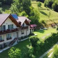 Casa cu Muscate, hotel en Câmpeni