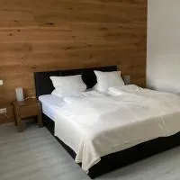 Ferienwohnung Hammerbergblick Rittersgrün، فندق في بريتينبرون