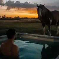 Cabaña de Campo, Atardeceres y Pileta Climatizada, מלון בEstación Coronel Brandsen