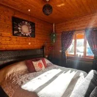 APPLE Cabin - Little Log Cabin in Wales، فندق في نيوتاون