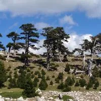 "CUORE DEL POLLINO" Locazione turistica, hotel v destinaci Viggianello