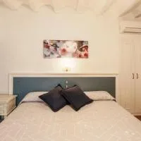 Allotjaments Plaça Major-Aulina, ξενοδοχείο σε Santa Pau