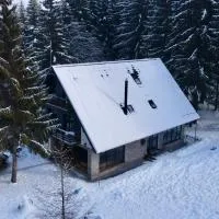 Cabana Bradul Adelinei, hotel en Bucin