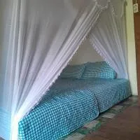 Bukit Lawang Backpacker JungleTrekking Only Booking with us, hotel en Timbanglawang