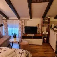 Apartmani Viola, ξενοδοχείο σε Momjan