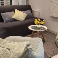 Casa Viva - Separate, ruhig gelegene Wohnung, хотел в Quierschied