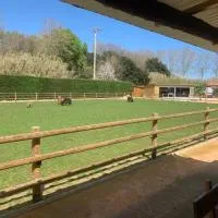Rancho Catalan 2、Castillo de Aroのホテル