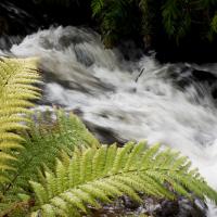 Frankie & Hugh's, hotel en Ohakune