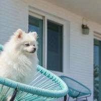 양양에 위치한 호텔 양양 해뜨는바다 오션뷰 펜션