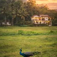 Wildlife Kingdom - Deniyaya Sinharaja, hotel u gradu Deniyaya