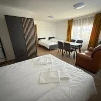SALGIRDO svečių namai, Hotel in Kelmė