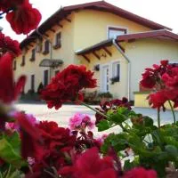 Halász Airport Panzio, hotel Vecsésen