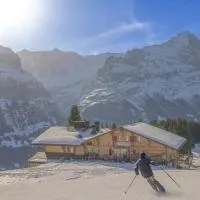 Alpinhotel Bort – hotel w mieście Grindelwald