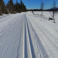 Synnseter, хотел в Nord Torpa