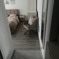 Apartament na Warynskiego, hôtel à Ostrowiec Świętokrzyski