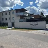 Kobaltowa Przystań - Apartament z Klimatem, viešbutis mieste Włocławek