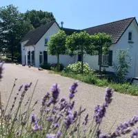 Luxury guesthouse - Eik bij de dijk, hotel en Aalst