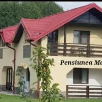 Pensiunea Magnolia din Tismana, hotel v destinaci Tismana