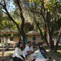 NAMOH e VIRAASAT: Chopta şehrinde bir otel