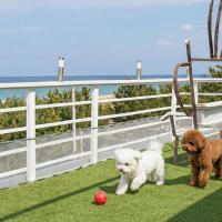 양양에 위치한 호텔 양양 보노 애견동반 펜션