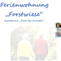 Ferienwohnung Forstwiese، فندق في Großrosseln