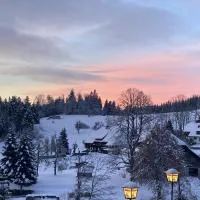 Boutique Hotel & Apartments Pension Sternen, hotel en Todtmoos