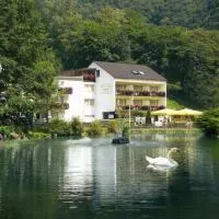 Hotel Residenz, hotel en Bad Bertrich