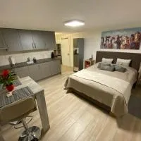 Magnifique studio en-dessus de Martigny, hotel em Martigny-Combe