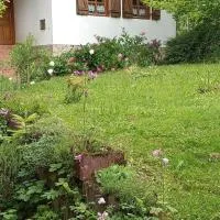 Budafai Vendégház, hotel en Kiscsehi