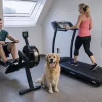 Fitness loft 50 m2, hotell i Zemst