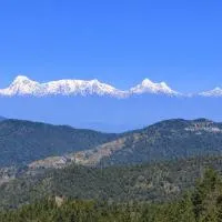 Kafal Pako Resort - Himalayan View Resort In Mukteshwar, hotel v destinácii Mukteswar