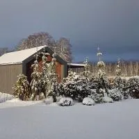 Berzkrasti Lake House with Private Sauna & Beach，斯伽爾達的飯店