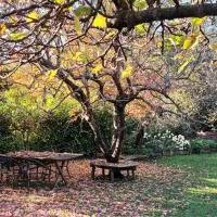 Viesnīca A lovely house in Vipava valley pilsētā Vipava