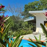 Villas Pura Vida - Guapinol, hotel a Río Negro