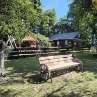 Gospodarstwo agroturystyczne alpaki Pituchówka, hotel 