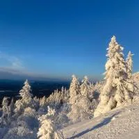 Högt upp på fjället!, хотел в Storhågna