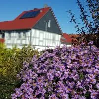 Lohbachhof, hotell i Wolfhagen