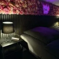 Appartement Grand Est - Ham-sous-Varsberg، فندق في Ham-sous-Varsberg