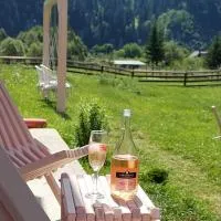 Pink House Karpaty, hotel em Krivorovnya